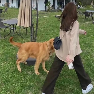 恋马人